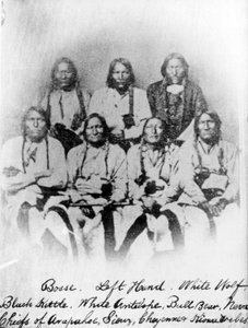 Bose, levá ruka, bílý vlk, černá konvice, bílá antilopa, medvěd býk, Neva: Náčelníci kmenů Arapahoe, Sioux, Cheyenne a Kiowa, kolem 1860-68 od American Photographer