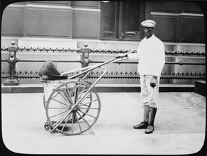 City Street Cleaner, Philadelphia, kolem roku 1920 od American Photographer