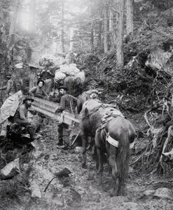 Lezení po Dyea Trail na cestě do Chilkoot Pass během zlaté horečky na Klondike (1897-98) (černobílá fotografie) od American Photographer