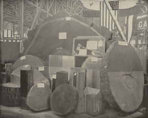 Gladstones Axe od American Photographer