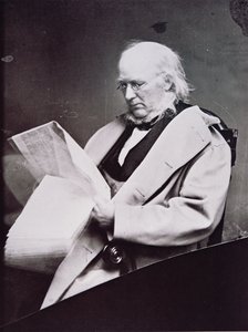 Horace Greeley (1811-72) (černobílá fotografie) od American Photographer
