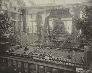 Liberty Bell v pomerančích od American Photographer