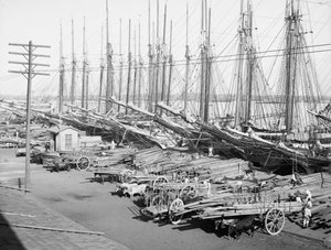 Muelle Tallapiedras, Havana, kolem roku 1904 (černobílá fotografie) od American Photographer