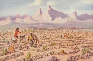 Tajemné bludiště indiánů Mojave, poblíž Needles, Kalifornie (kolorovaná fotografie) od American Photographer