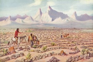 Mystic Maze of the Mojave Indians, poblíž Needles, Kalifornie (barevná fotografie) od American Photographer