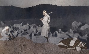 Palestinští pastýři hlídající v noci své stádo (kolorovaná fotografie) od American Photographer