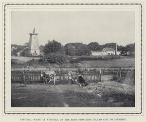 Pastorační scéna ve Winfieldu, na cestě z Long Island City do Flushing (černobílá fotografie) od American Photographer
