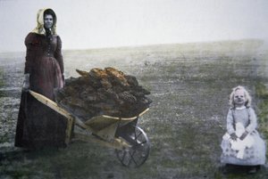 Průkopnice sbírající dobytčí trus, Kansas, cca 1880 (barevné foto) od American Photographer