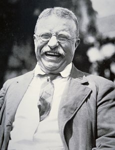 Prezident Theodore Roosevelt, kolem roku 1917 (černobílá fotografie) od American Photographer