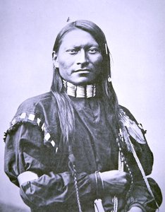 Červený panter od American Photographer