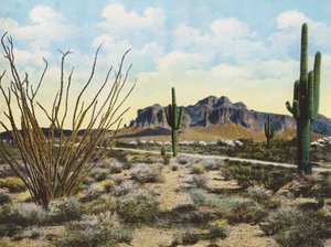 Pohoří Superstition a poušť, "Apache Trail" (barevné foto) od American Photographer