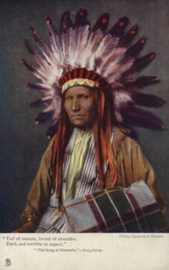 Vysoký vzrůstem, široká ramena, temný a strašlivý zjev" - Píseň o Hiwathovi - Longfellow. (foto) od American Photographer