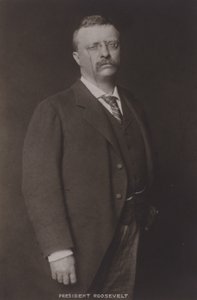 Theodore Roosevelt, 26. prezident Spojených států, 1904 od American Photographer