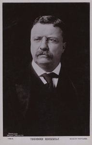 Theodore Roosevelt, americký politik a 26. prezident Spojených států (čb fotografie) od American Photographer