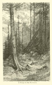 Soutěska v Pyrenejích od American School