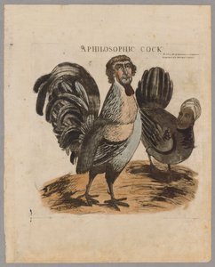 A Philosophic Cock, 1804 od American School