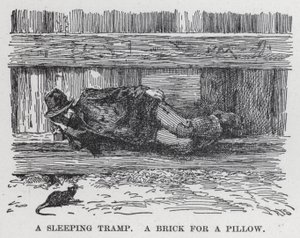 Spící tramp, cihla na polštář (litho) od American School