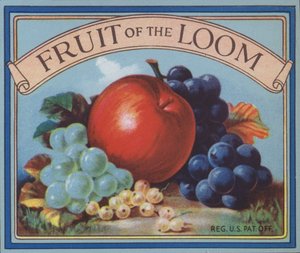 Reklama na oblečení Fruit of the Loom (barva lito) od American School