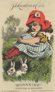 Reklama na boraxin J. D. Larkin & Cos, 1882