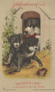 Reklama na boraxin J. D. Larkin & Cos, 1882 od American School