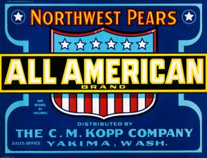 All American Brand Fruit Crate Label, cca 1920 (litografie) od American School