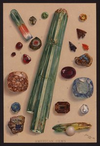 Americké drahokamy (barevná litografie) od American School