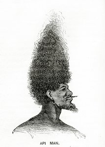 Api Man, ilustrace z Appletons Journal, 4. května 1872 od American School