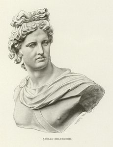 Apollo Belvedere od American School