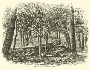 Breastwork v lese, červenec 1863 od American School