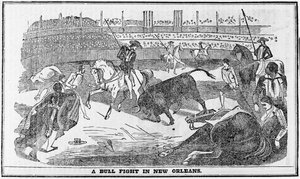 Býčí zápas v New Orleans, z Davy Crocketts Almanack, Boston, 1849 od American School