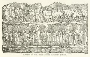 Captives of War; z paláce Asshur-bani-pals od American School