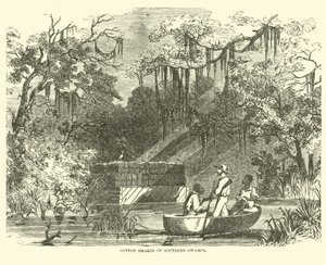 Bavlněné hromady v Southern Swamps, červenec 1862 od American School