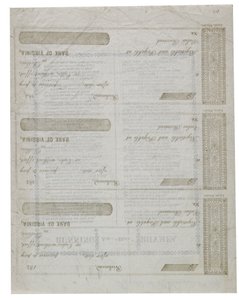Dixie vytištěno na zadní straně listu šeků, 1861 od American School