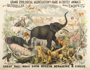 Velká zoologická agregace vzácných a nákladných zvířat s Batchellerem a Doris (chromolitho) od American School