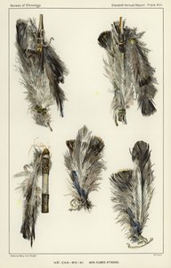 Ha-Cha-Mo-Ni with plumes attached od American School