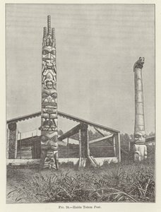 Haida Totem Post od American School