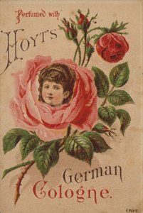 Hoyts německý Kolín nad Rýnem od American School