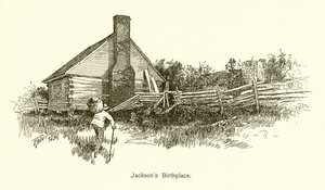 Jacksonovo rodiště od American School