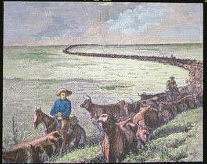 Pohon skotu Longhorn z Texasu do Abilene, Kansas, kolem 70. let 19. století (barevné lito) od American School