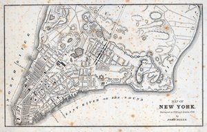 Mapa New Yorku (litho) od American School