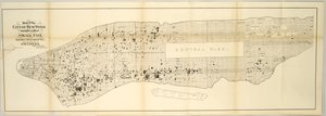 Mapa města New York zobrazující umístění neštovic od 1. května 1874 do 30. dubna 1875. od American School