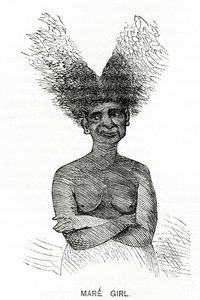 Mare Girl, ilustrace z Appletons Journal, 4. května 1872 od American School