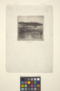 Marsh (lept) od American School