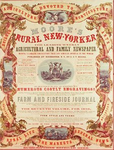Mooreův venkovský New Yorker od American School