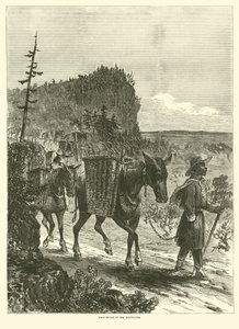 Smečka mezci v horách, únor 1863 od American School