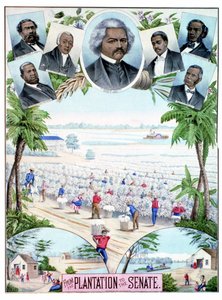 Plantáže v Senátu: ilustrace zobrazující černé dělníky na bavlníkových plantážích a černé senátory na jihu Spojených států. od American School
