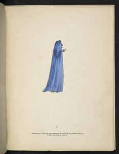 Talíř 7. Duch v modrém.  Spectropia; nebo, Překvapivé spektrální iluze zobrazující duchy všude a jakékoli barvy atd. ser. 1.  J.H. Hnědý  1864 od American School