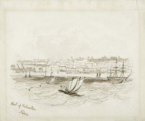 Port of Galveston, Texas, konec 19. století (inkoust na tkaném papíře) od American School