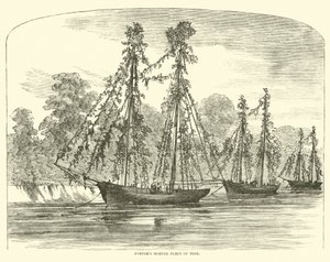 Minometná flotila Porters v Trimu, červen 1862 od American School