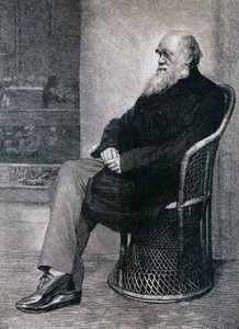 Portrét Charlese Darwina od American School